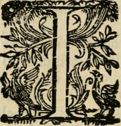 An illustration from Lo inganno de gl'occhi, prospettiva pratica, 1625, leaf 117