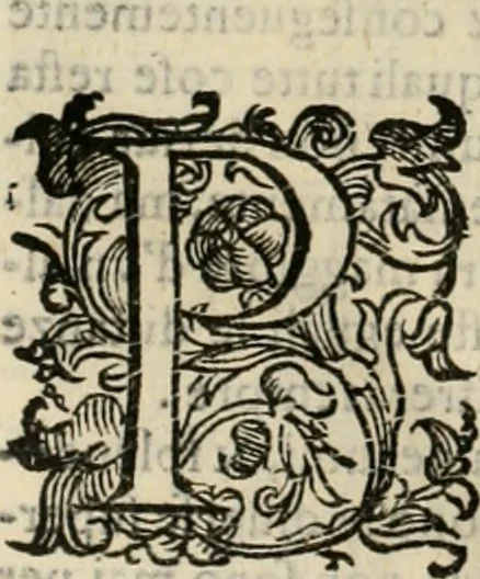 An illustration from Lo inganno de gl'occhi, prospettiva pratica, 1625, leaf 125