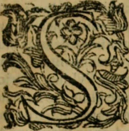 An illustration from Lo inganno de gl'occhi, prospettiva pratica, 1625, leaf 130