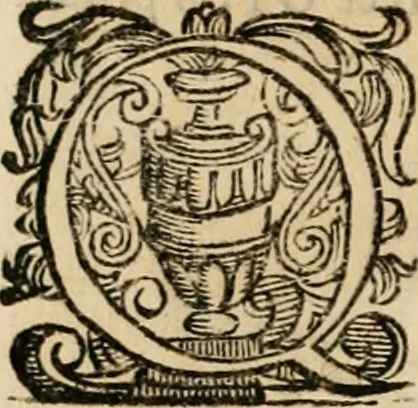 An illustration from Lo inganno de gl'occhi, prospettiva pratica, 1625, leaf 137