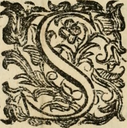 An illustration from Lo inganno de gl'occhi, prospettiva pratica, 1625, leaf 143