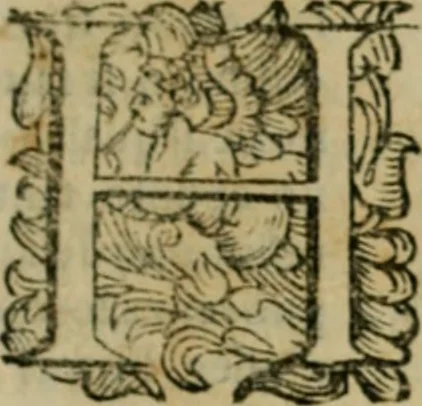 An illustration from Lo inganno de gl'occhi, prospettiva pratica, 1625, leaf 146