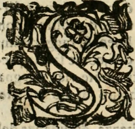 An illustration from Lo inganno de gl'occhi, prospettiva pratica, 1625, leaf 151
