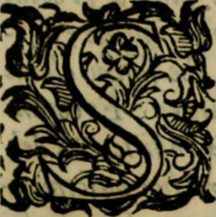 An illustration from Lo inganno de gl'occhi, prospettiva pratica, 1625, leaf 16