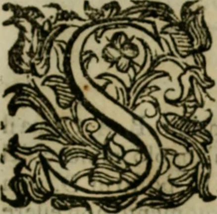 An illustration from Lo inganno de gl'occhi, prospettiva pratica, 1625, leaf 20