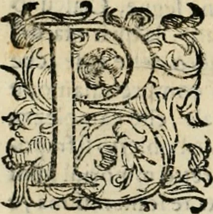 An illustration from Lo inganno de gl'occhi, prospettiva pratica, 1625, leaf 23