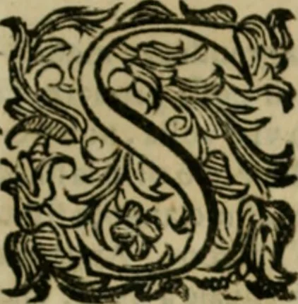 An illustration from Lo inganno de gl'occhi, prospettiva pratica, 1625, leaf 32
