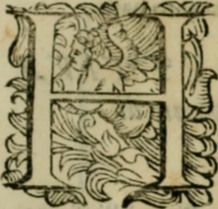 An illustration from Lo inganno de gl'occhi, prospettiva pratica, 1625, leaf 40