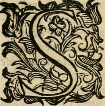 An illustration from Lo inganno de gl'occhi, prospettiva pratica, 1625, leaf 41