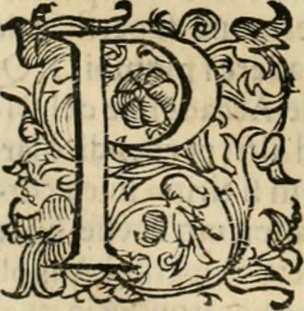 An illustration from Lo inganno de gl'occhi, prospettiva pratica, 1625, leaf 49