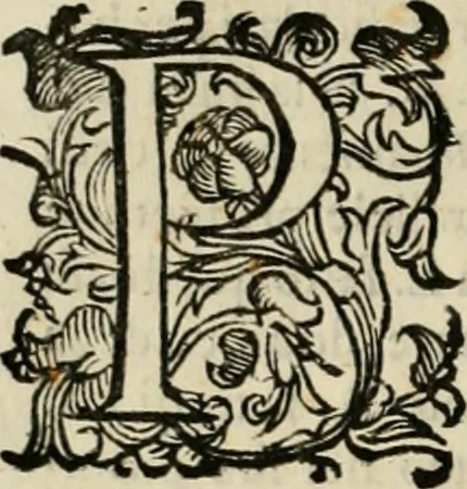 An illustration from Lo inganno de gl'occhi, prospettiva pratica, 1625, leaf 53