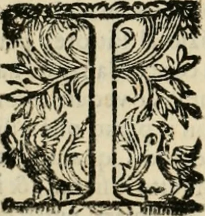 An illustration from Lo inganno de gl'occhi, prospettiva pratica, 1625, leaf 55