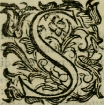 An illustration from Lo inganno de gl'occhi, prospettiva pratica, 1625, leaf 56