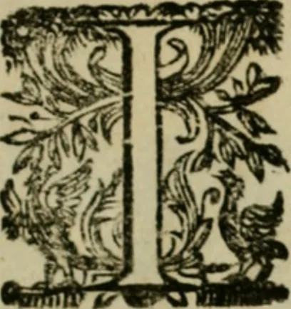 An illustration from Lo inganno de gl'occhi, prospettiva pratica, 1625, leaf 6