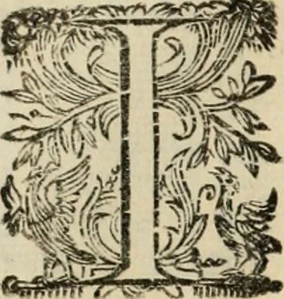 An illustration from Lo inganno de gl'occhi, prospettiva pratica, 1625, leaf 69