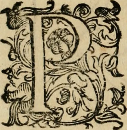An illustration from Lo inganno de gl'occhi, prospettiva pratica, 1625, leaf 87