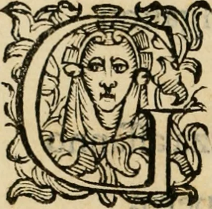 An illustration from Lo inganno de gl'occhi, prospettiva pratica, 1625, leaf 9