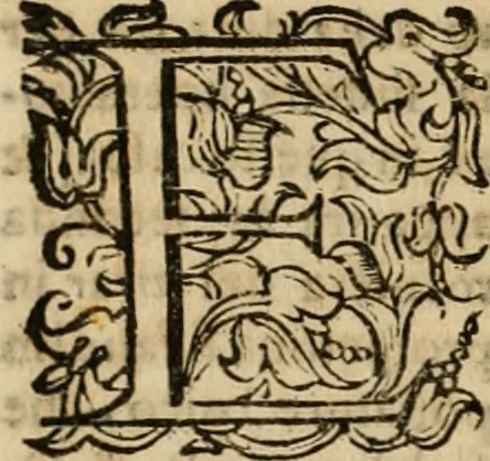 An illustration from Lo inganno de gl'occhi, prospettiva pratica, 1625, leaf 95