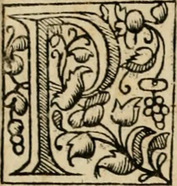 An illustration from Lo inganno de gl'occhi, prospettiva pratica, 1625, leaf 99