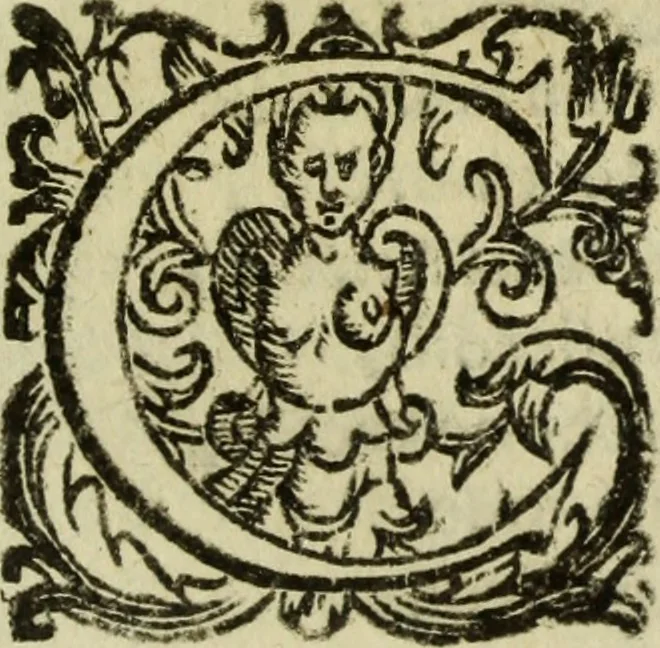 An illustration from L'Olivastro, overo, Il poeta sfortvnato : poema fantastico, 1642, leaf 162