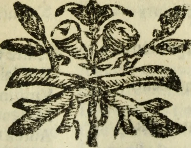 An illustration from L'Olivastro, overo, Il poeta sfortvnato : poema fantastico, 1642, leaf 188