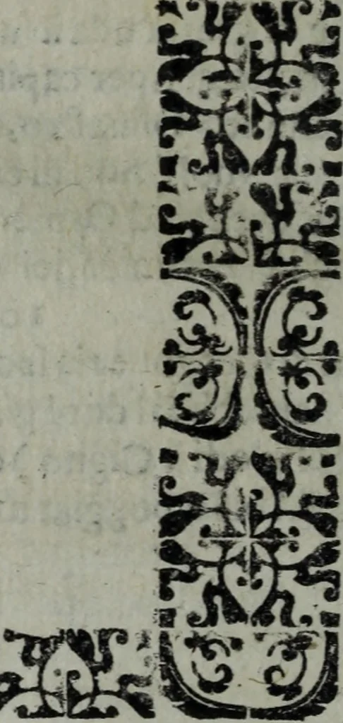 An illustration from L'Olivastro, overo, Il poeta sfortvnato : poema fantastico, 1642, leaf 201