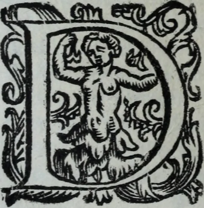 An illustration from L'Olivastro, overo, Il poeta sfortvnato : poema fantastico, 1642, leaf 201