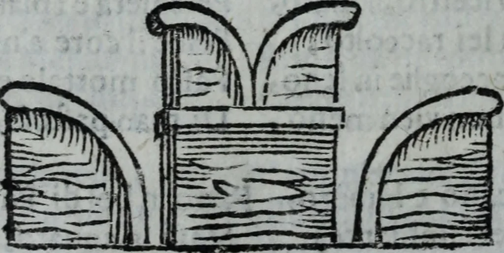 An illustration from L'Olivastro, overo, Il poeta sfortvnato : poema fantastico, 1642, leaf 243