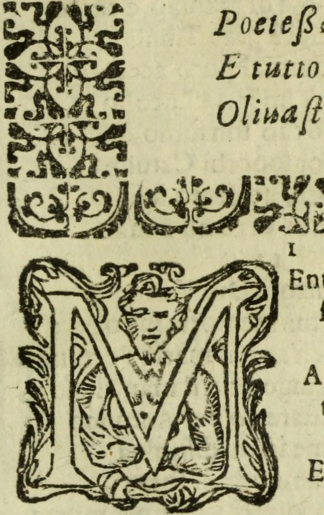 An illustration from L'Olivastro, overo, Il poeta sfortvnato : poema fantastico, 1642, leaf 244