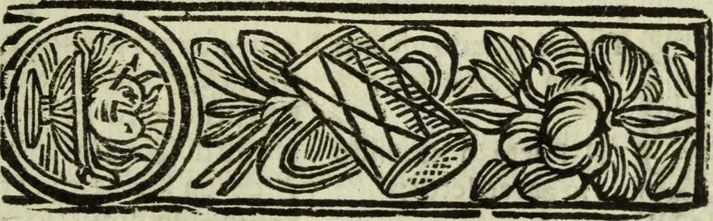 An illustration from L'Olivastro, overo, Il poeta sfortvnato : poema fantastico, 1642, leaf 258