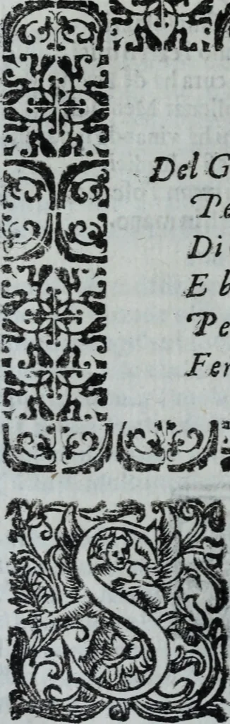 An illustration from L'Olivastro, overo, Il poeta sfortvnato : poema fantastico, 1642, leaf 259