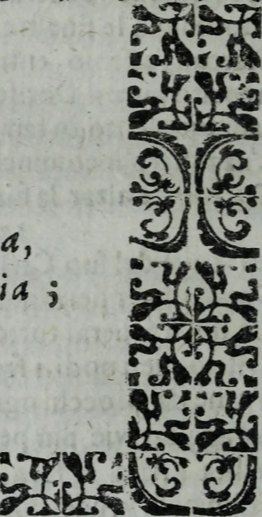 An illustration from L'Olivastro, overo, Il poeta sfortvnato : poema fantastico, 1642, leaf 273