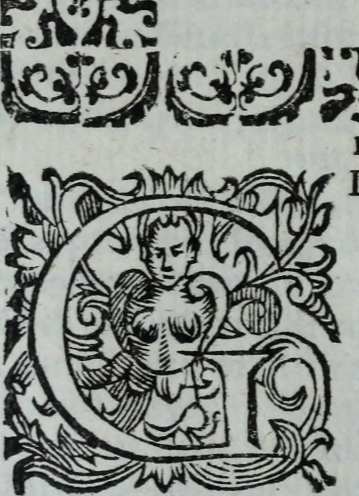 An illustration from L'Olivastro, overo, Il poeta sfortvnato : poema fantastico, 1642, leaf 285