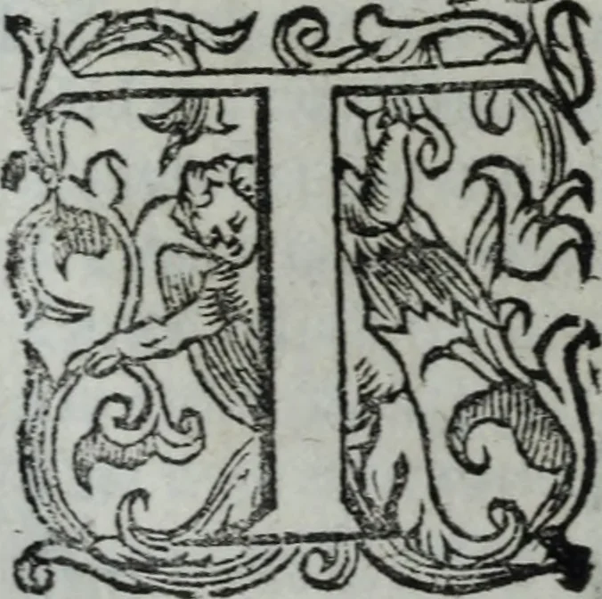 An illustration from L'Olivastro, overo, Il poeta sfortvnato : poema fantastico, 1642, leaf 299