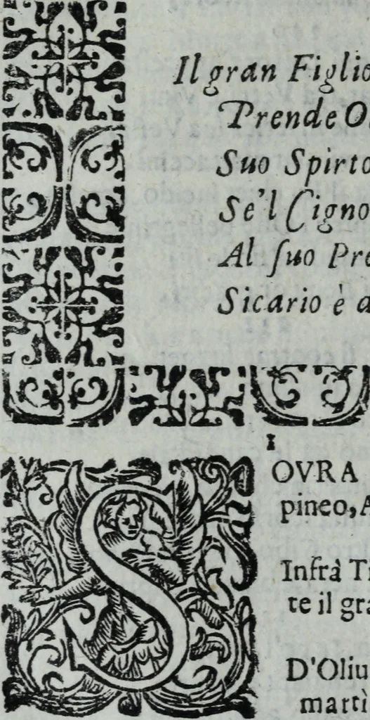 An illustration from L'Olivastro, overo, Il poeta sfortvnato : poema fantastico, 1642, leaf 313