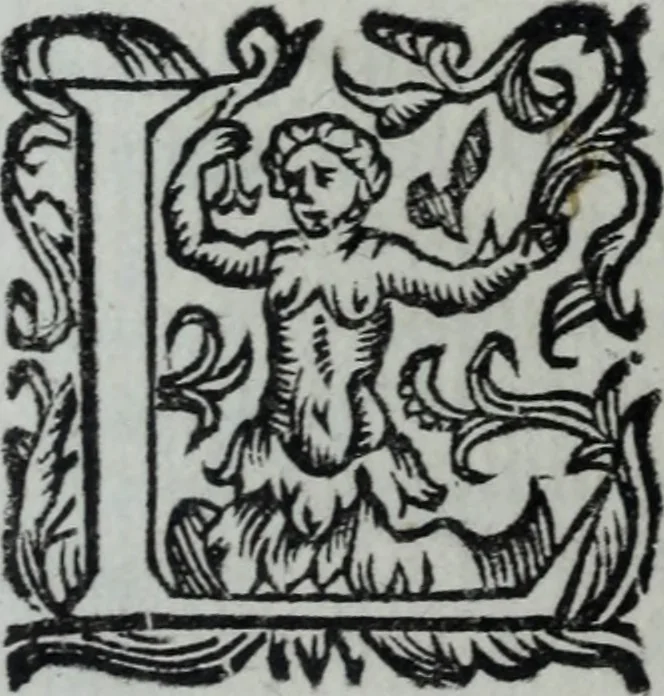 An illustration from L'Olivastro, overo, Il poeta sfortvnato : poema fantastico, 1642, leaf 33
