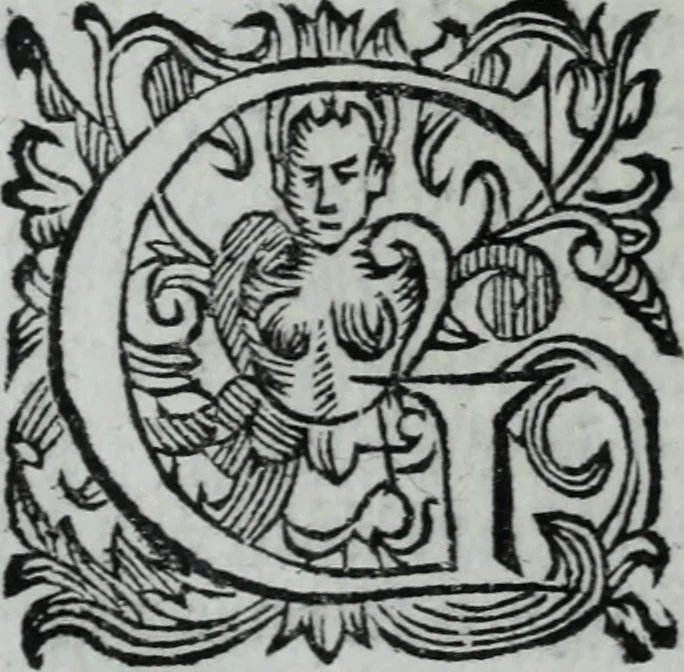 An illustration from L'Olivastro, overo, Il poeta sfortvnato : poema fantastico, 1642, leaf 337