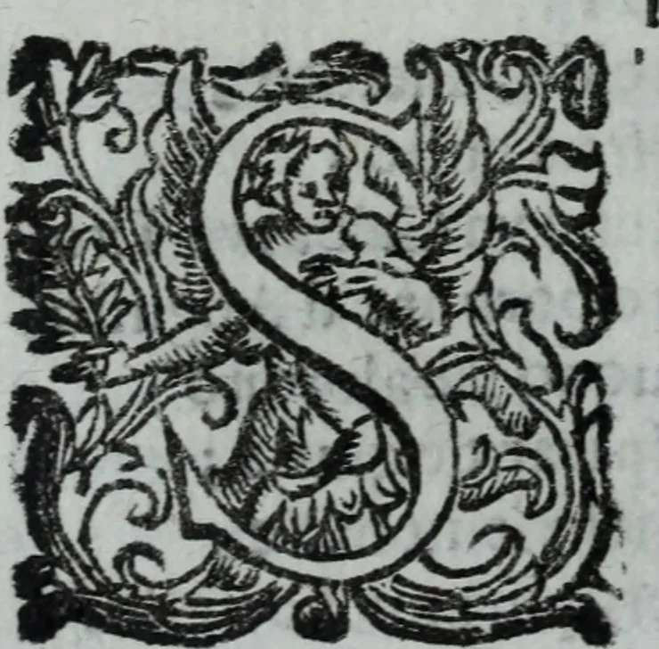 An illustration from L'Olivastro, overo, Il poeta sfortvnato : poema fantastico, 1642, leaf 45