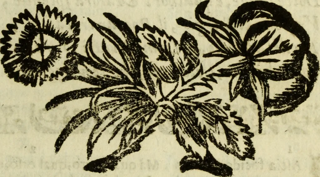 An illustration from L'Olivastro, overo, Il poeta sfortvnato : poema fantastico, 1642, leaf 58