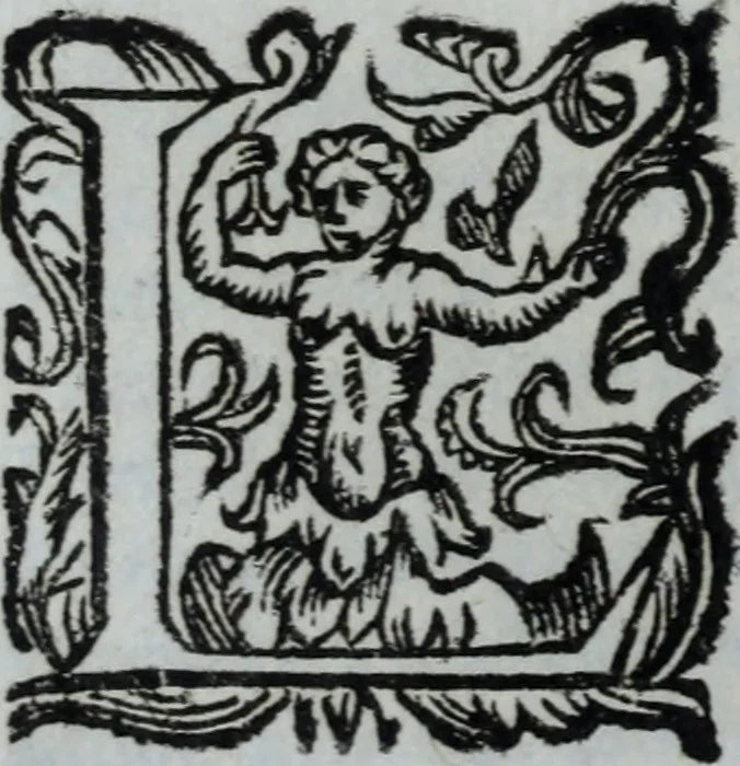 An illustration from L'Olivastro, overo, Il poeta sfortvnato : poema fantastico, 1642, leaf 59