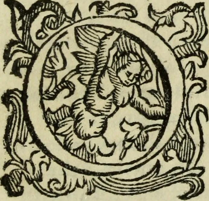 An illustration from L'Olivastro, overo, Il poeta sfortvnato : poema fantastico, 1642, leaf 8