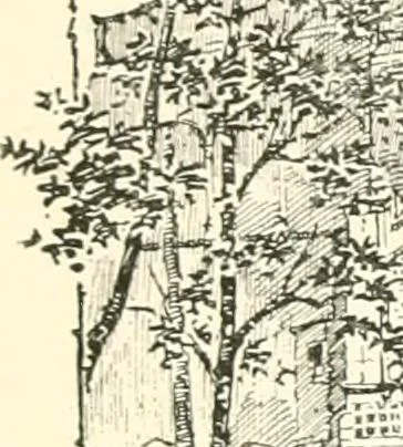 An illustration from London city churches, 1896, leaf 50