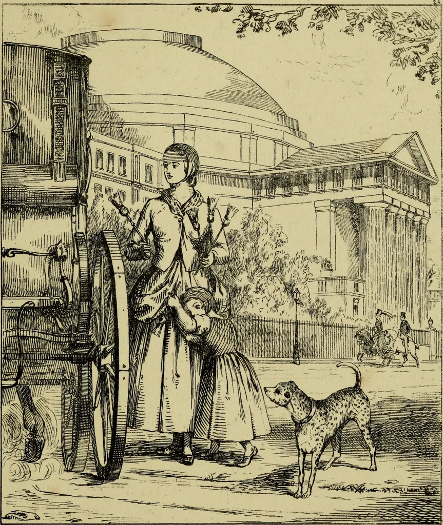 An illustration from London cries & public edifices, 1851, leaf 82