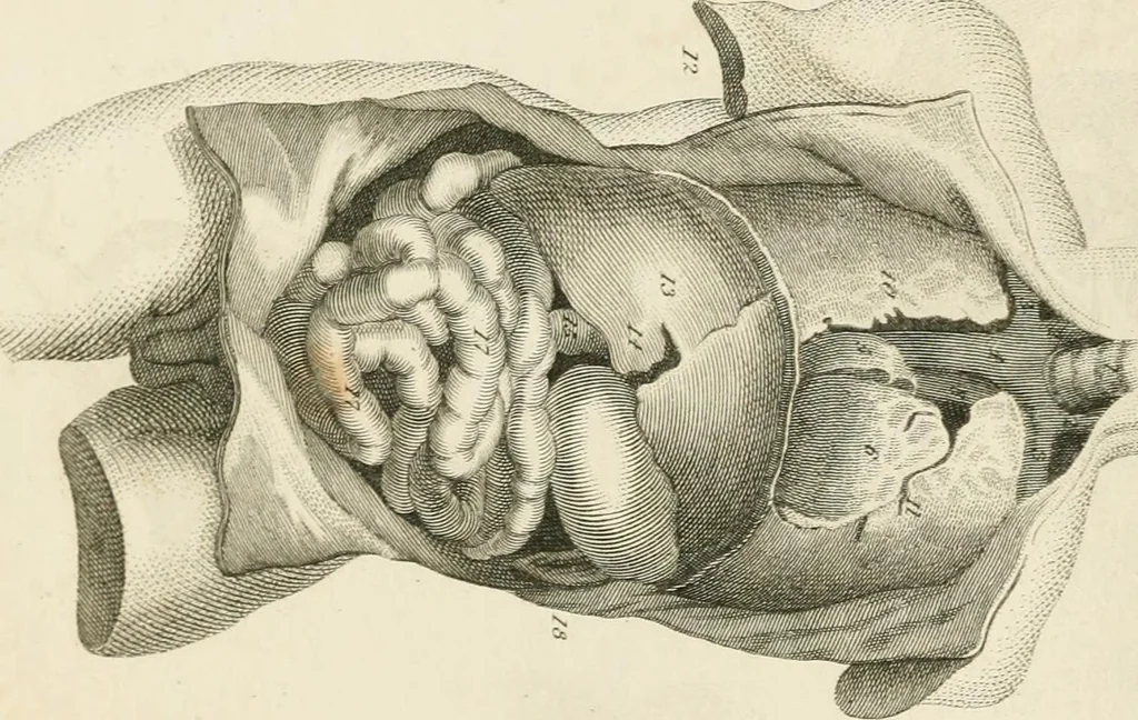 An illustration from A London encyclopaedia, or universal dictionary of science, art, literature and practical mechanics : comprising a popular view of the present state of knowledge : illustrated by numerous engravings, a general atlas, and appropriate diagrams, 1829, leaf 253