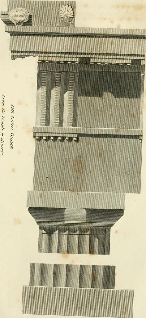 An illustration from A London encyclopaedia, or universal dictionary of science, art, literature and practical mechanics : comprising a popular view of the present state of knowledge : illustrated by numerous engravings, a general atlas, and appropriate diagrams, 1829, leaf 634