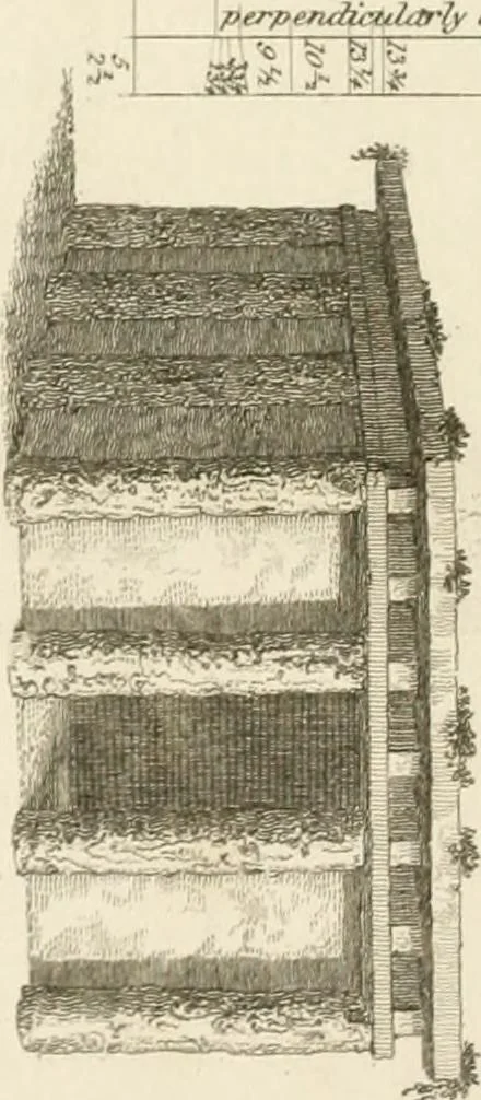An illustration from A London encyclopaedia, or universal dictionary of science, art, literature and practical mechanics : comprising a popular view of the present state of knowledge : illustrated by numerous engravings, a general atlas, and appropriate diagrams, 1829, leaf 637