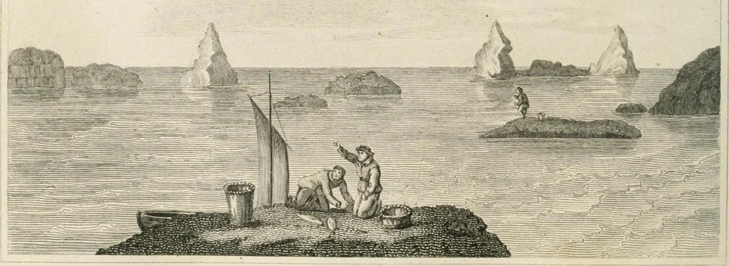 An illustration from A London encyclopaedia, or universal dictionary of science, art, literature and practical mechanics : comprising a popular view of the present state of knowledge : illustrated by numerous engravings, a general atlas, and appropriate diagrams, 1829, leaf 645