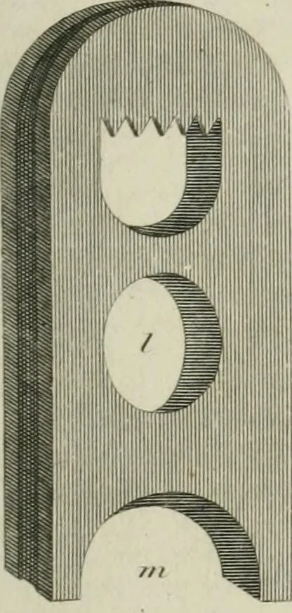 An illustration from A London encyclopaedia, or universal dictionary of science, art, literature and practical mechanics : comprising a popular view of the present state of knowledge : illustrated by numerous engravings, a general atlas, and appropriate diagrams, 1829, leaf 250