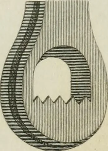 An illustration from A London encyclopaedia, or universal dictionary of science, art, literature and practical mechanics : comprising a popular view of the present state of knowledge : illustrated by numerous engravings, a general atlas, and appropriate diagrams, 1829, leaf 250