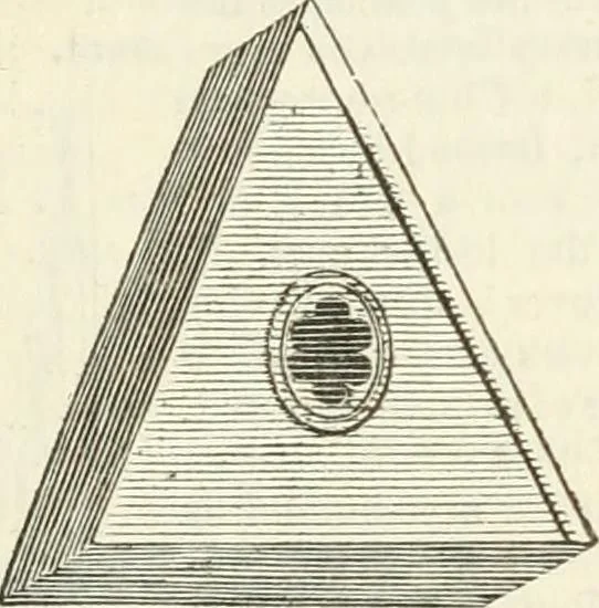 An illustration from A London encyclopaedia, or universal dictionary of science, art, literature and practical mechanics : comprising a popular view of the present state of knowledge : illustrated by numerous engravings, a general atlas, and appropriate diagrams, 1829, leaf 667